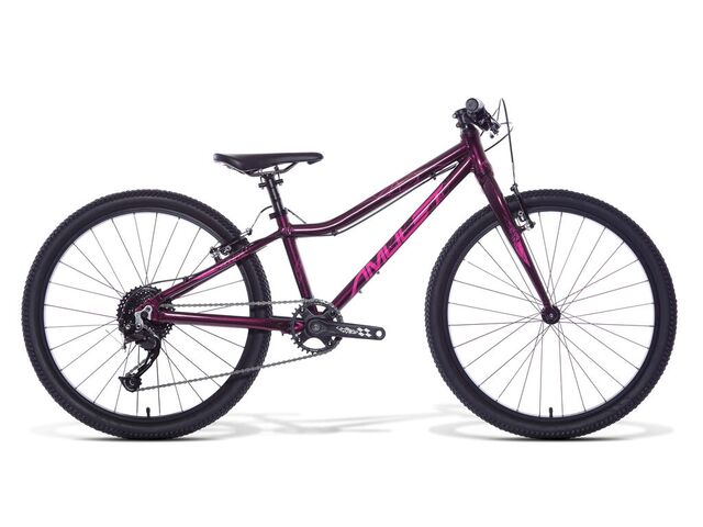 AMULET 24 TOMCAT dark violet metalic/light violet shiny 2022