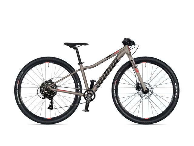 Dětské kolo Author Limit 29 2026 titan-matná/černá/červená