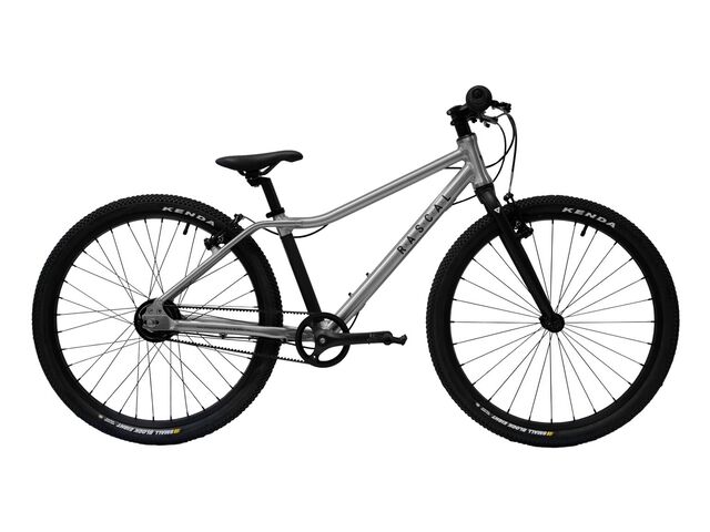 Dětské lehké kolo RASCAL 24, Titanium 7 speed 2025