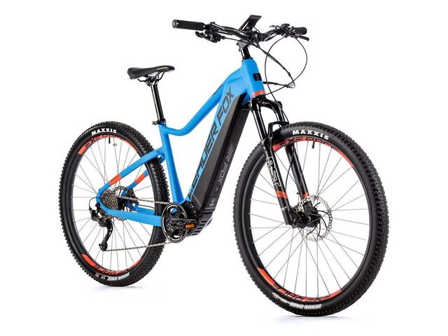 LEADER FOX  ALTAR 2023 BLUE