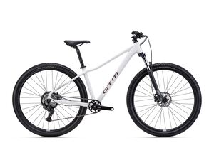 Horské kolo CTM CHARISMA 1.0 29 - matná svetlošedá 2026